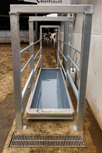 Standard-Klauenbad für Rinderbetriebe