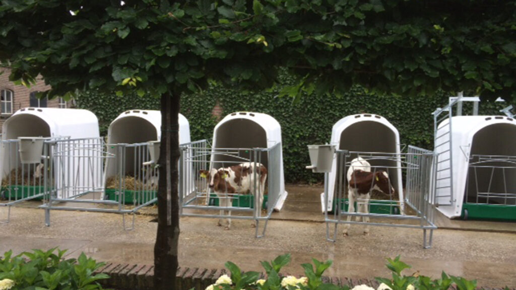 Kälber Iglu Comfort mit 4-teiligem Gitter