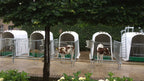 Kälber Iglu Comfort mit 4-teiligem Gitter